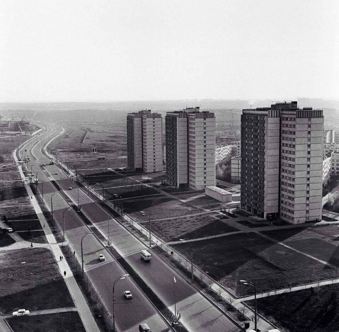 �������� �����������. ������, 1973 �