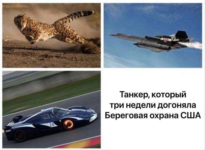 ����� �� ���� ������������� ������� ���������� �� ���������� �������� ������ "��������"�