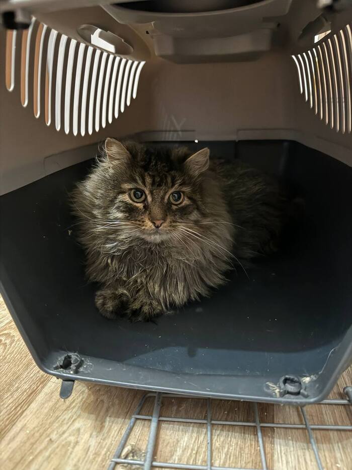 ������ ����� �������� ����� ���� ���! ������ � ��