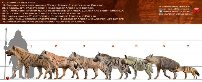 ��� ����� ���������� �������� ����� � �������� ���� �� ������ �������