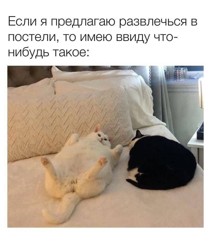 Развлечемся?