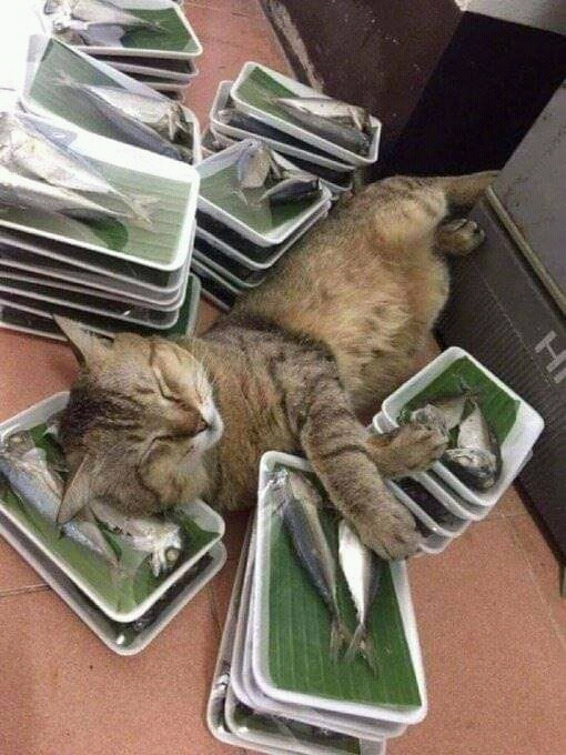 ����� �������