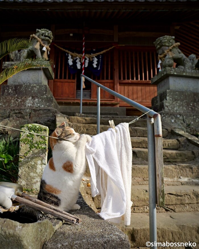 <!--noindex--><a href="https://pikabu.ru/story/lapkovoe_13576397?u=https%3A%2F%2Fx.com%2Fi%2Fstatus%2F2008789401644757252&t=https%3A%2F%2Fx.com%2Fi%2Fstatus%2F2008789401644757252&h=9a15bc56c50bde4a595ad3a3934376ec5714a10f" title="https://x.com/i/status/2008789401644757252" target="_blank" rel="nofollow noopener">https://x.com/i/status/2008789401644757252</a><!--/noindex-->