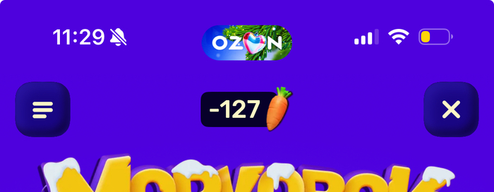 Ответ на пост «OZON загнал в долги»