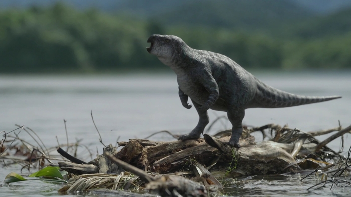 Залмоксес плывёт на плоту из веток в сериале «Доисторическая планета». По мнению создателей сериала, таким способом динозавры заселяли европейский архипелаг.