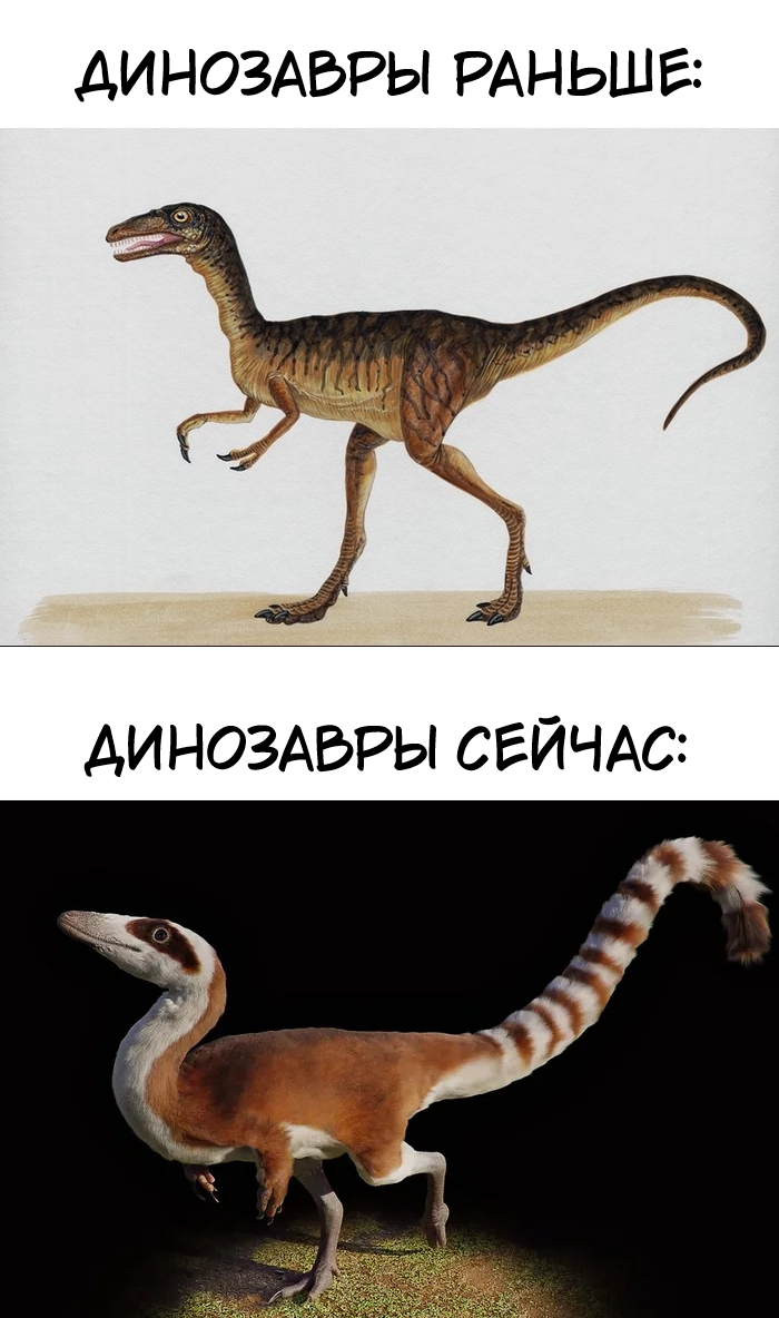 Ответ на пост «Учёным удалось выяснить, как на самом деле был окрашен динозавр»