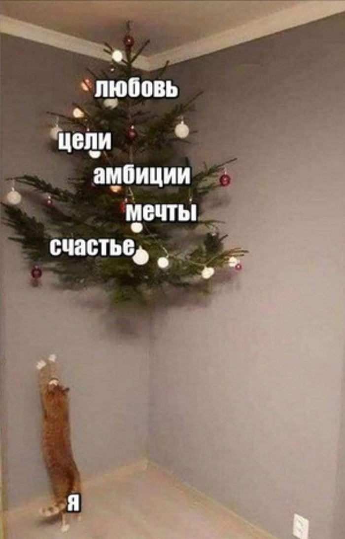 ������� ���������