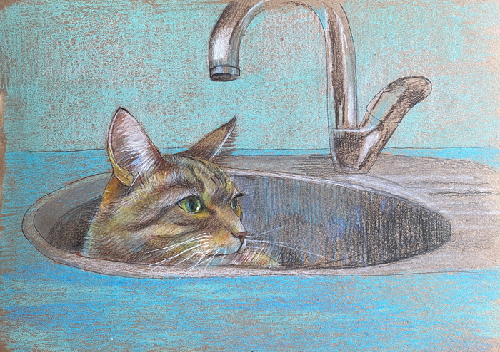 ���� � ���