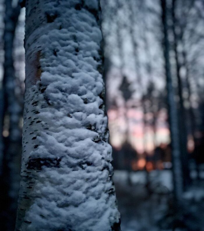 ������� �������� ������. � ���� �������� ����