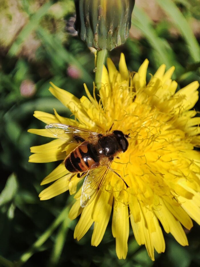 ����-��������