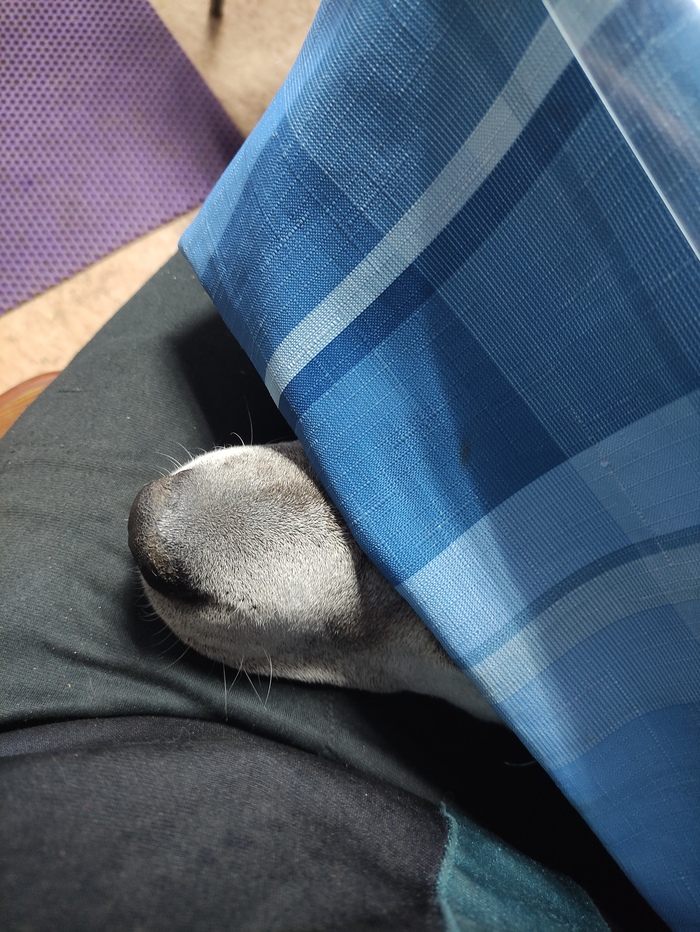 ��������� ����?