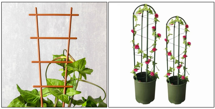 ������ � ������, � ��� �� 3� �������, ���� ���-�� ����������..