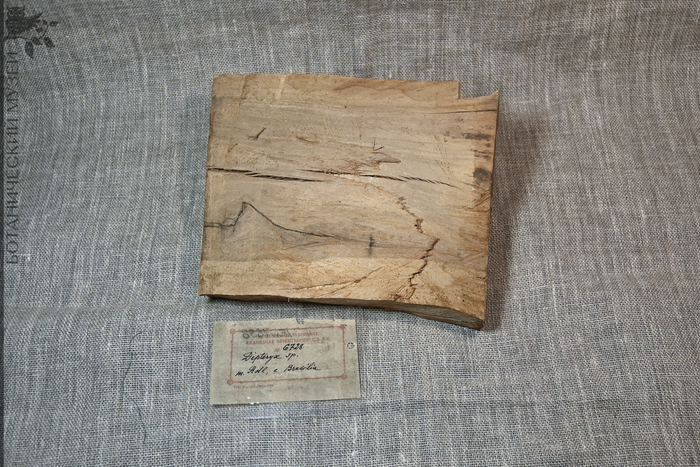 ������� ��������� ���������� �� ������ ������������� ����� ��� ���.