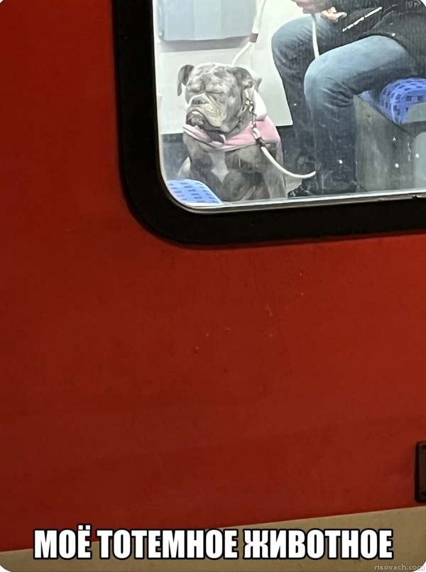 � ����� ���� ����