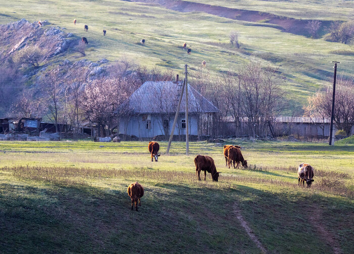 Апрельский вечер в хуторе Дюбовка