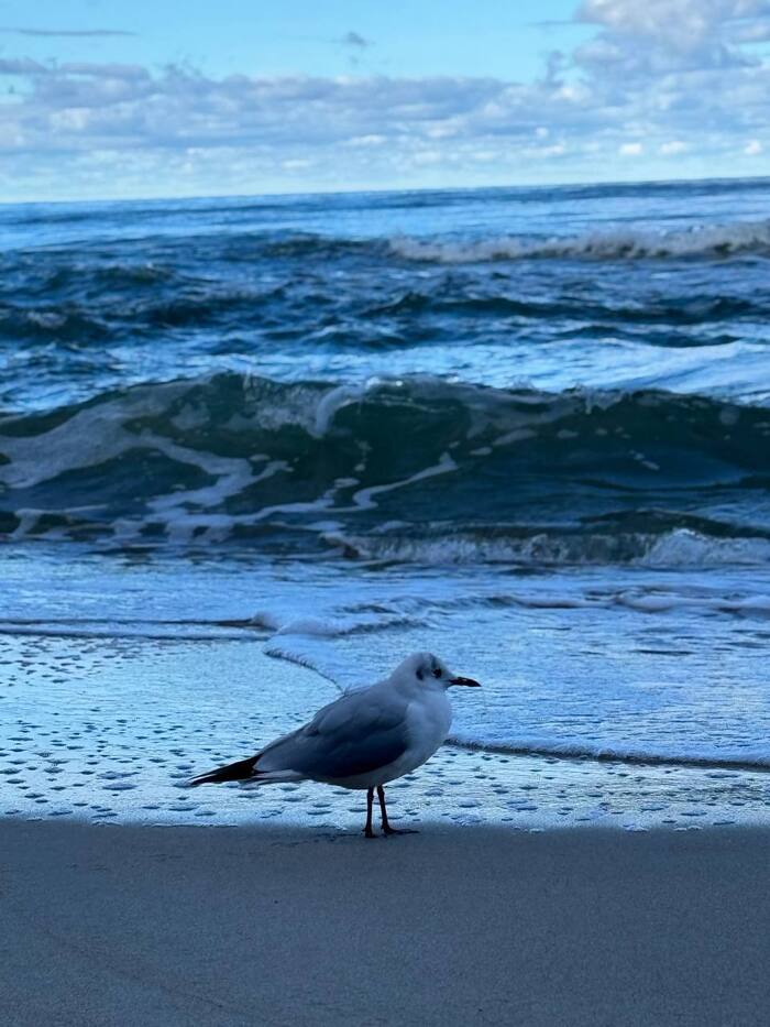 ���� ����� , ��� ����� ���� �����������