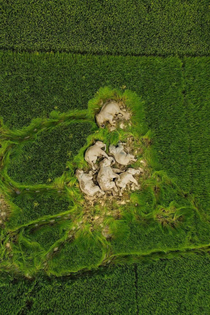 ����� ������ ������