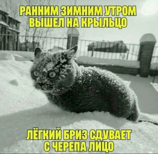 �������� ������ ���