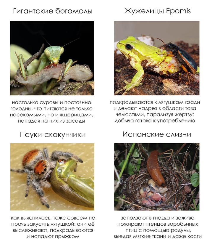 �������� ����� #72