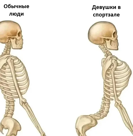 ���� ���������?