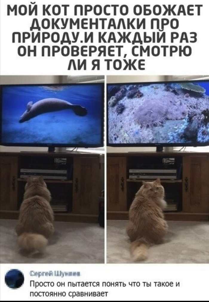 ������������� �������� �����