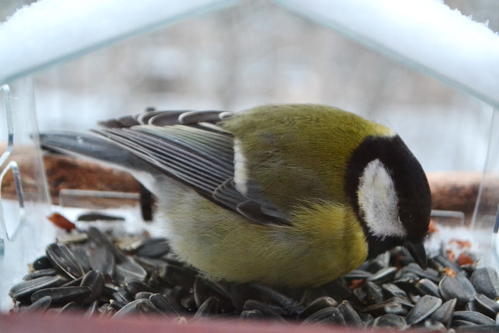 �������