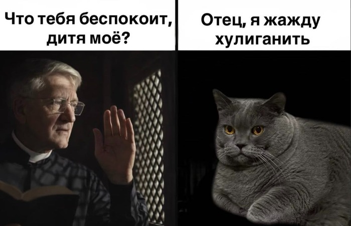 �������� ����