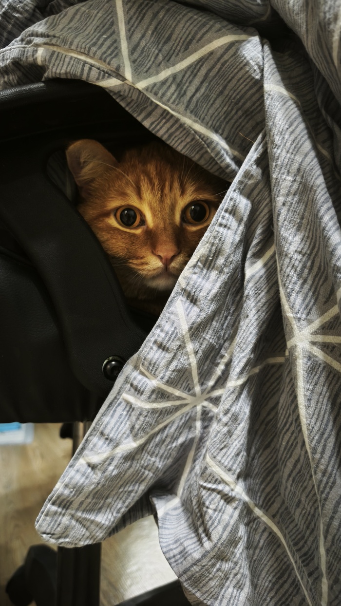 �� �������� ��������� �� ������ � �����, ��� � ���� ��� ������. ���� ��� ��� ������ � �� ����� ������, � � ����� ��� ������� � ������, ������ �� � ���������. ������ ��� ���� ���������� �� �� ���. �� ���� �� ������ ������ ���������...