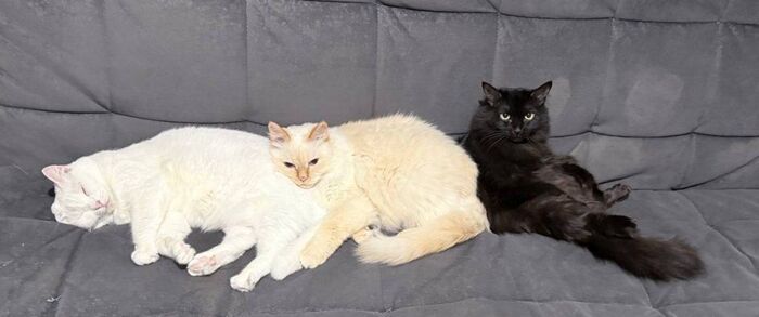 �������� �������������� � ��������