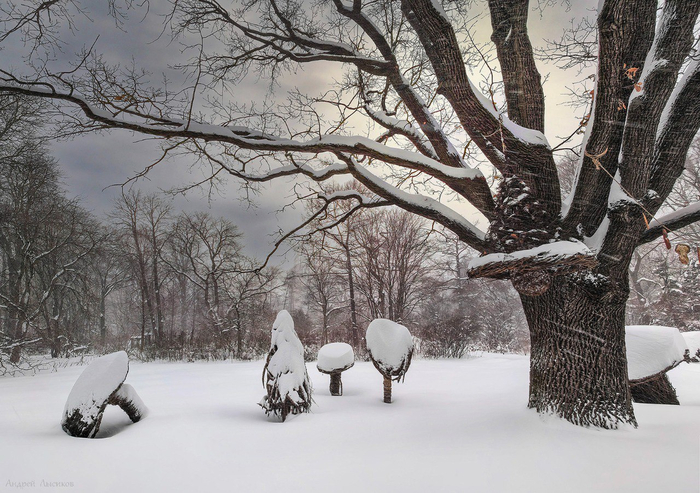 ���� <a href="https://pikabu.ru/story/dub_gofmana_13584643?u=https%3A%2F%2Ft.me%2Fgardenphotolysikov%2F3985&t=%D0%BE%D1%82%D1%81%D1%8E%D0%B4%D0%B0&h=7a4e10989070acba0d852f3f2f50a1cfd720ee42" title="https://t.me/gardenphotolysikov/3985" target="_blank" rel="nofollow noopener">������</a>