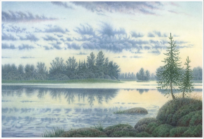 Владимир Колбасов.