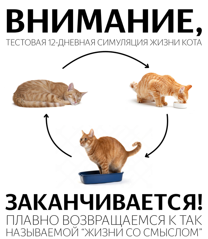 ������ �����������