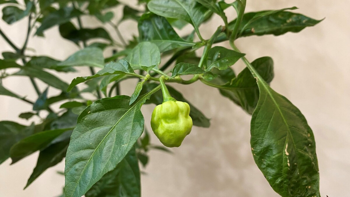 �� ���� ������ ������ �����!