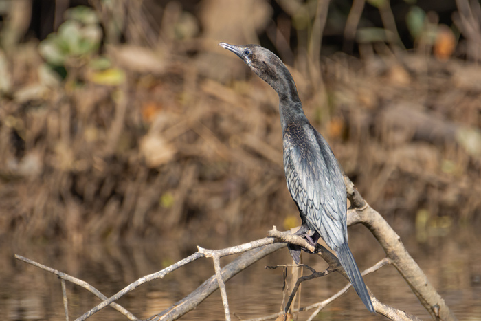 �������� ������