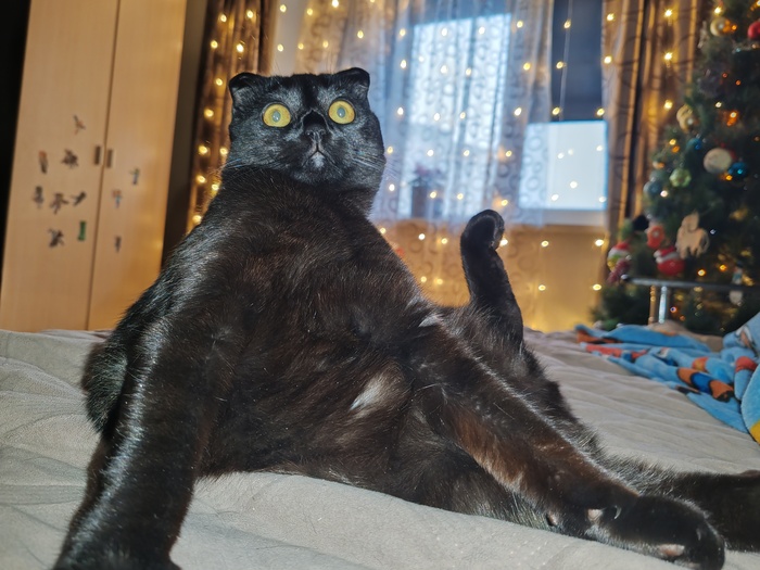 ��� � ��������� ��������