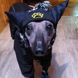 WillPorsche