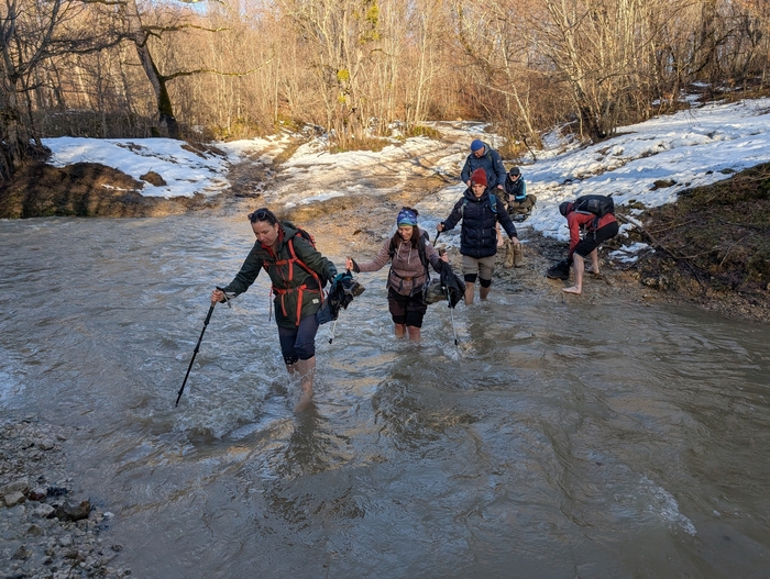 ���� ������ ���������