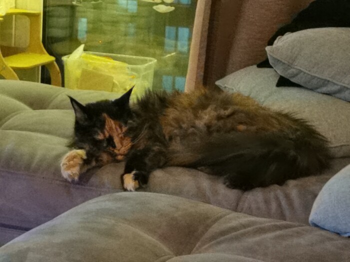 ������ �� ��������� ��������