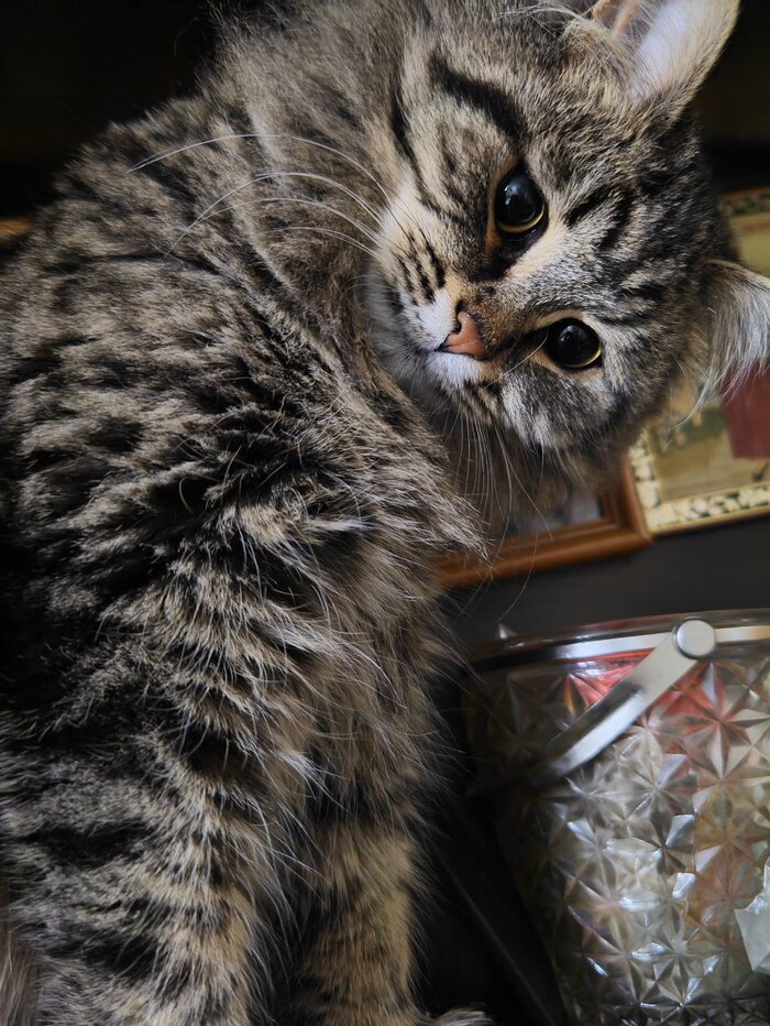 �� �� �����, �� �� ����