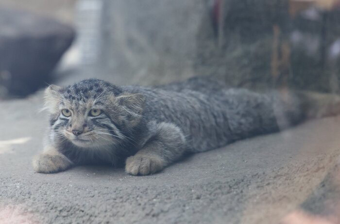 Ползём на работку...