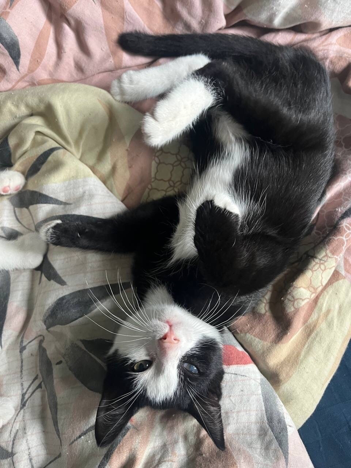 1- �������, �������, ������