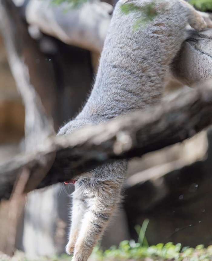 Прятки от работы