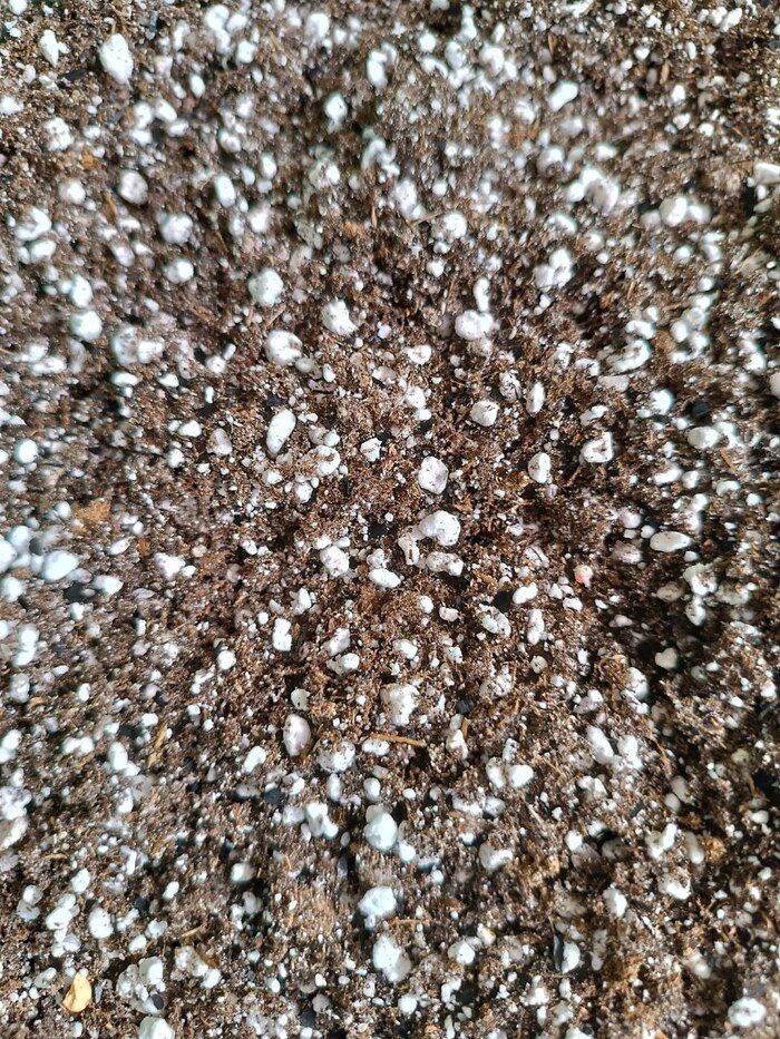 �������� ��� ������ ��������� ������� ����� ��� ���������