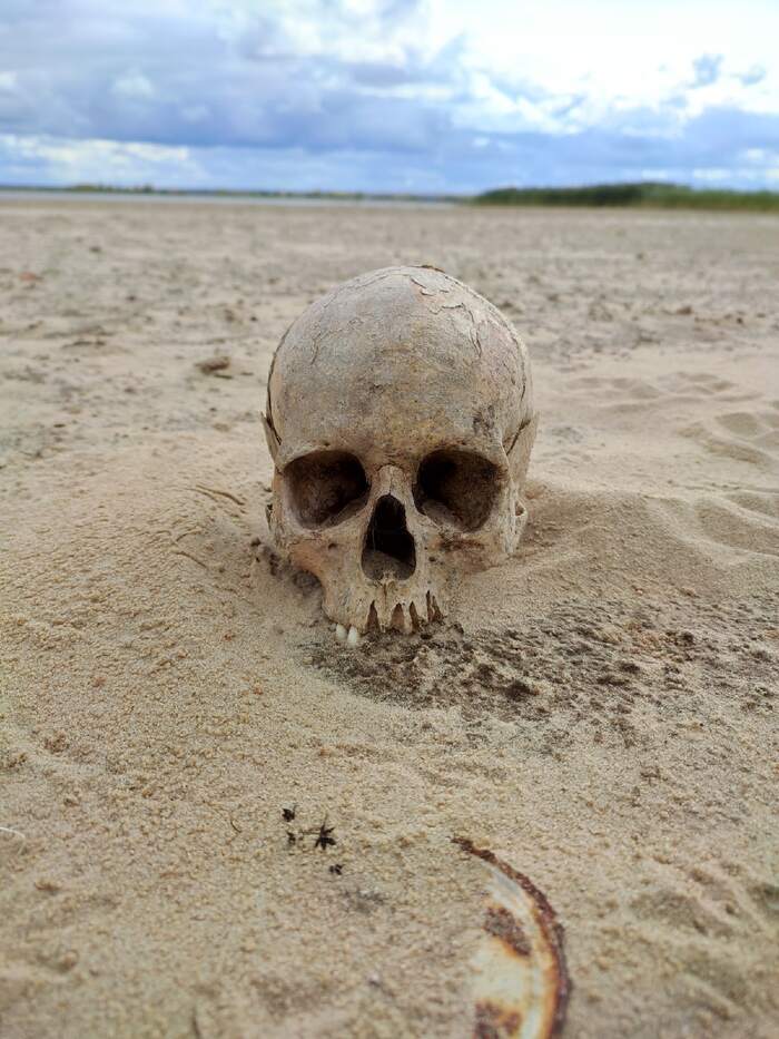 ��� ������� �������