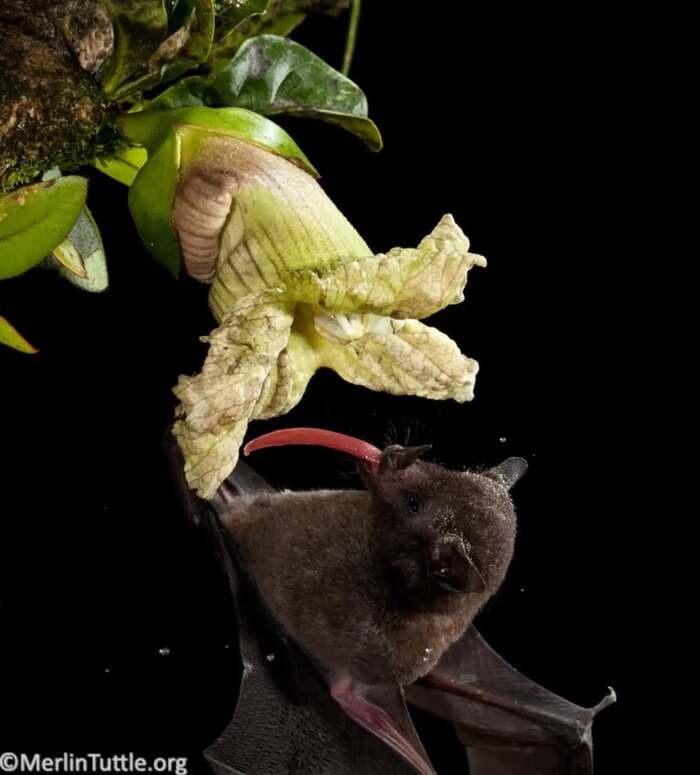 �������� ������������ ��� ������