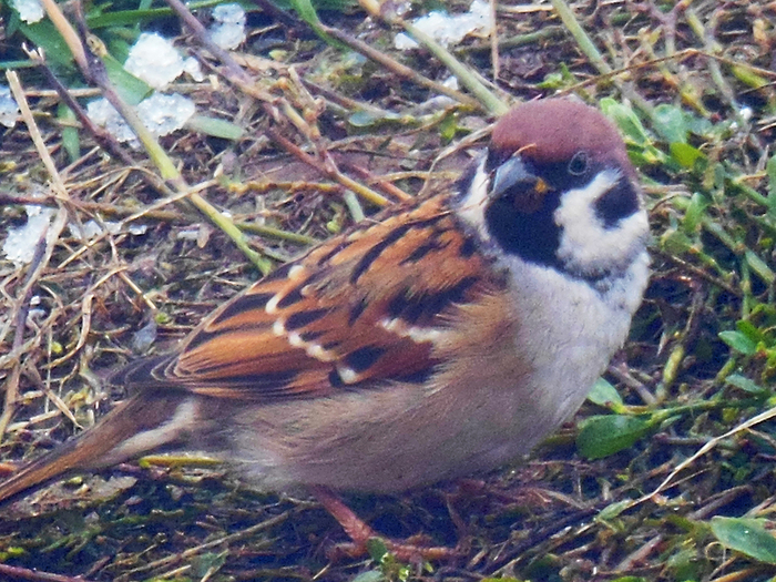 ���� �������� ������� � ����� �������� ����. ��� ��� ����� ������ ����. 