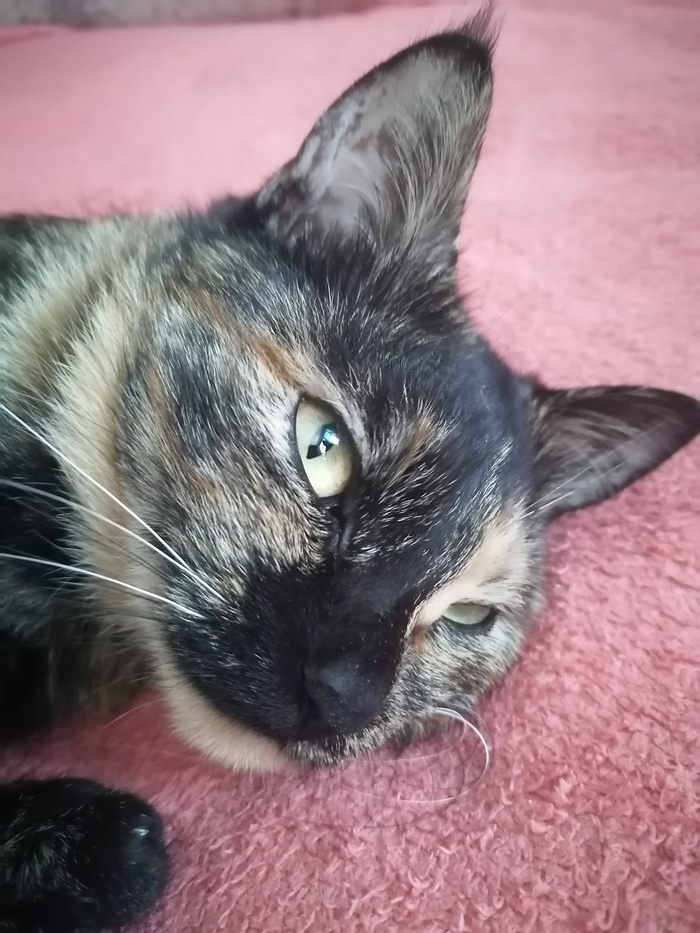 �������� �� 13 ������