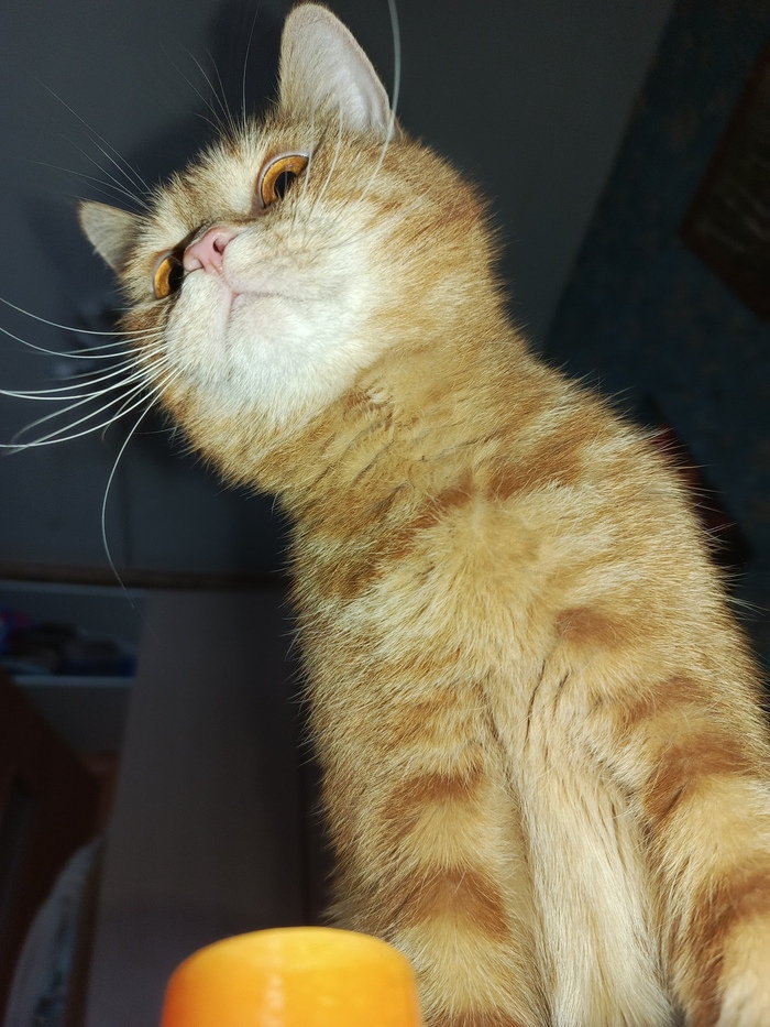 ���-�� ��� ��� �����������...