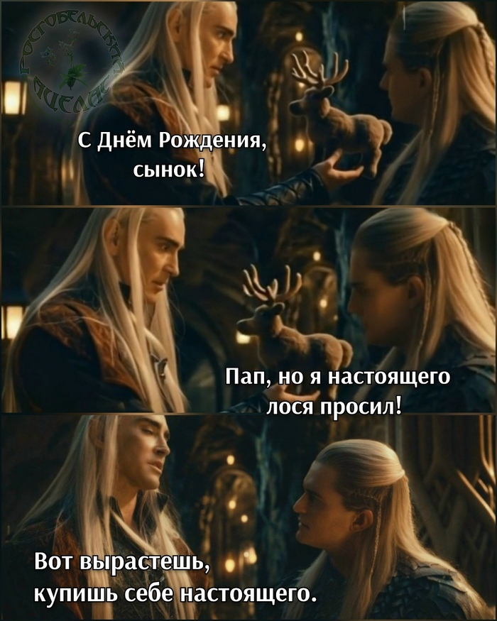 ���� �������� ��������