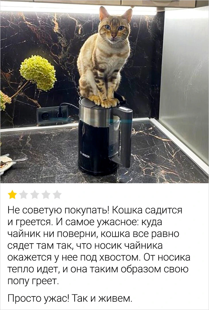 Отзыв на чайник!